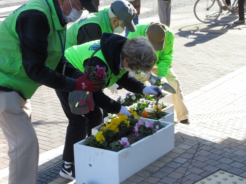 3:「写真」花壇がパンジーで華やかに彩られます。