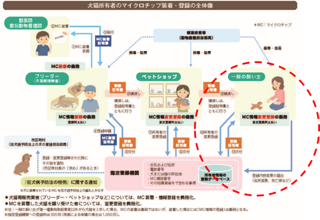 マイクロチップ装着・登録の全体像