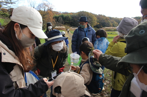 2:「写真」冬でもいろいろな生きものが見つかります。