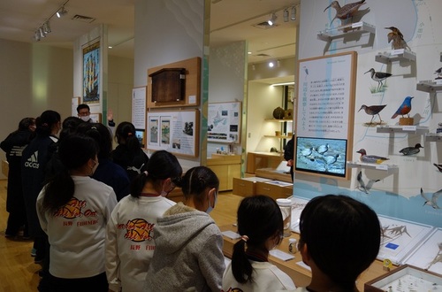 5:「写真」茅ヶ崎市博物館を見学