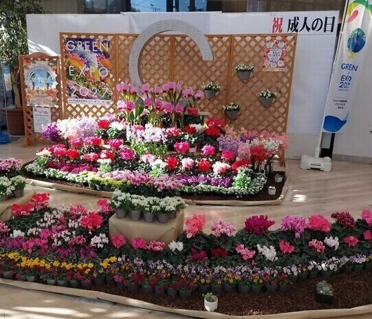 前回の展示の様子の写真