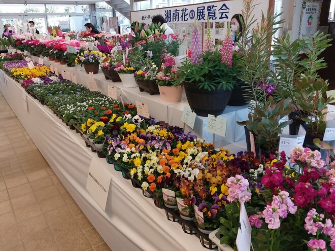 昨年度の展示の様子の写真