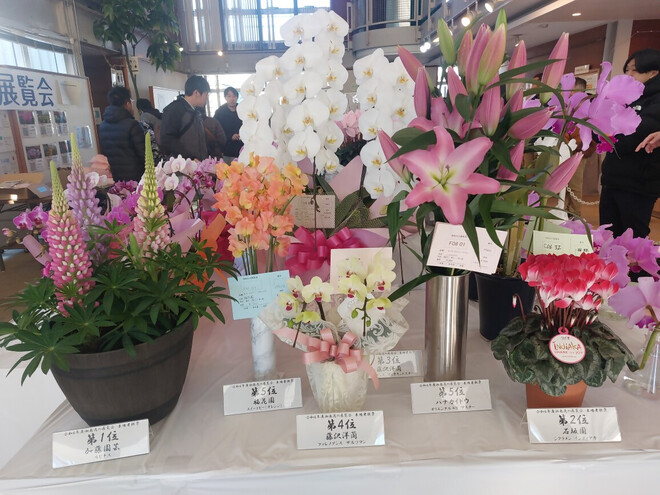 昨年度の展示の様子の写真