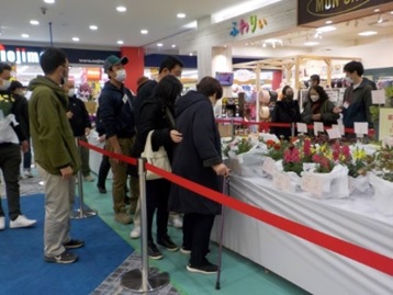 4:生産者さんのアドバイスを聞きながら花を選びます