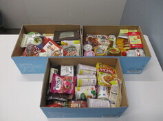 アクティオ株式会社/茅ヶ崎市勤労市民会館　様