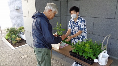 4:職員から当選者へ苗のお渡しです