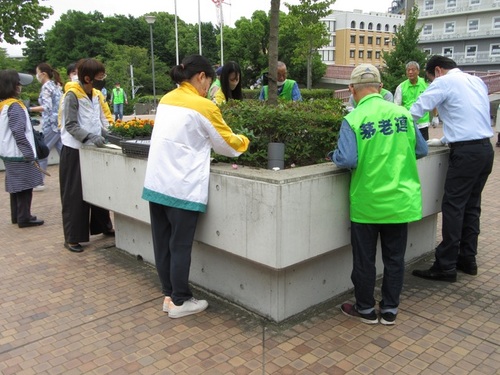 4:600株の花々を植栽しました。