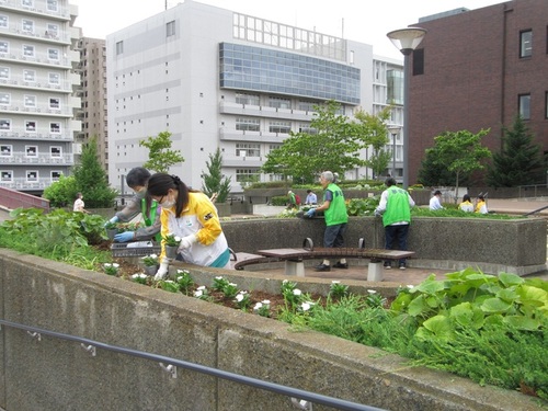 3:老人クラブ、茅ヶ崎市文化会館、明治安田生命の皆様が共同して作業を行いました。