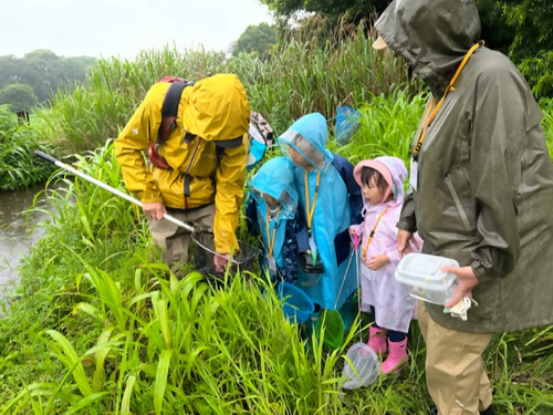 6:湿地の周辺で生きものさがし