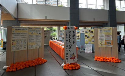 展示
