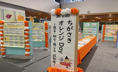 展示