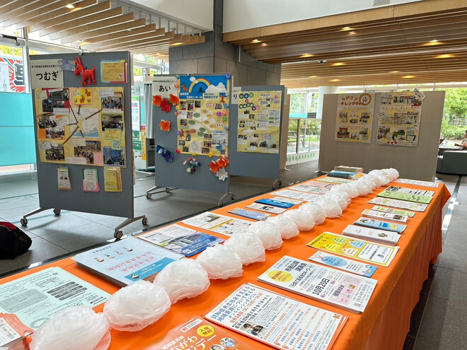 展示3
