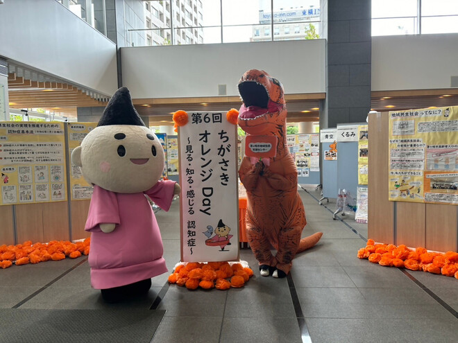 展示1