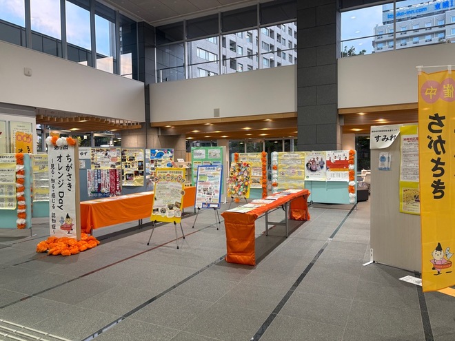 展示3