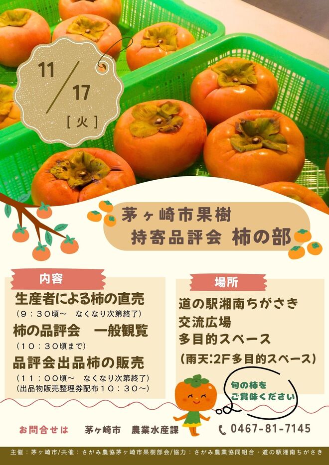 ポスターの画像