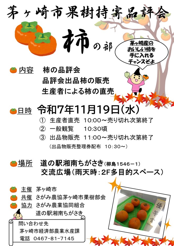 ポスターの画像