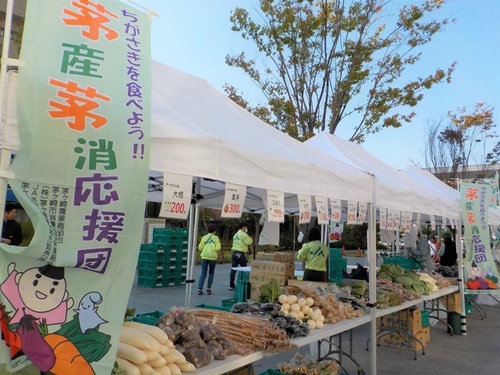 1:茅ヶ崎産の野菜がずらり