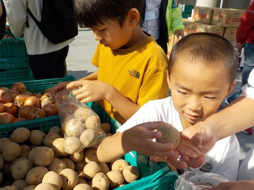 3:家族で協力して野菜の詰め放題