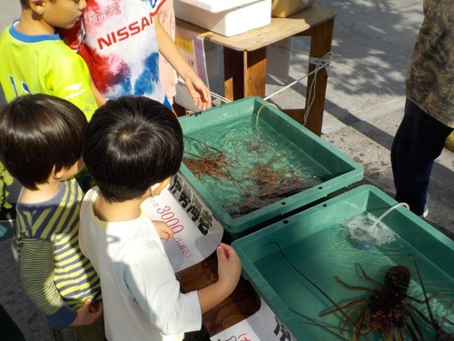 4:大きな伊勢海老に子どもたちも興味津々