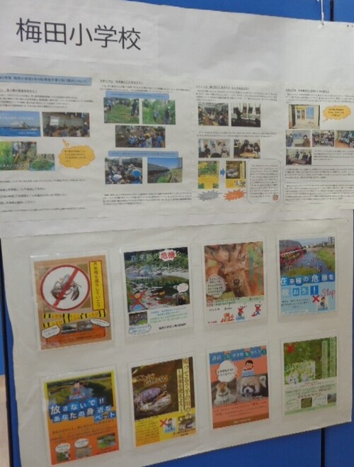 3:環境の出前授業についてまとめた壁新聞と外来種の啓発ポスター（梅田小学校）