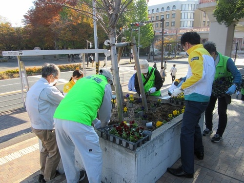 2:老人クラブ、茅ヶ崎市文化会館、明治安田生命の皆様が共同して作業を行いました