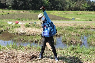 セイタカアワダチソウの根っこ