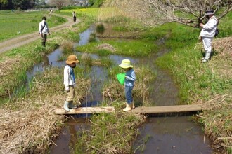 生きもの探し