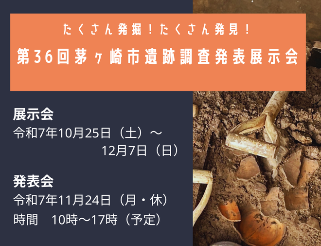 top画像