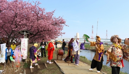 小出川桜まつり1