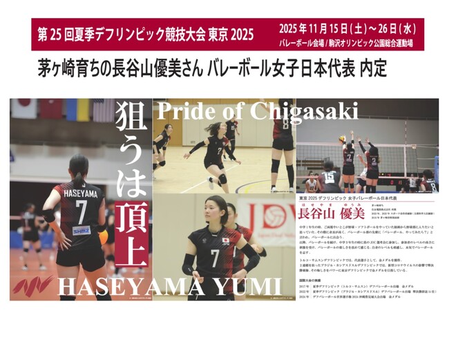 projects/default_project/_page_/001/062/033/haseyamayumi-senshu.jpg