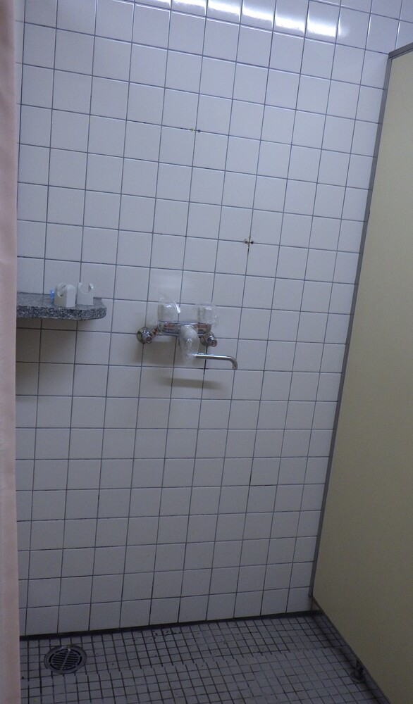 projects/default_project/_page_/001/062/314/70314-joshi.JPG