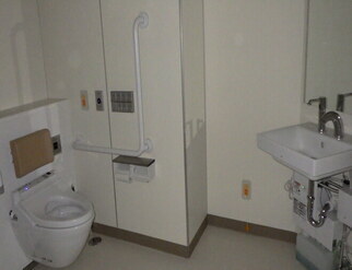 projects/default_project/_page_/001/062/575/1F-wc-1.JPG