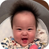 かめた はるき