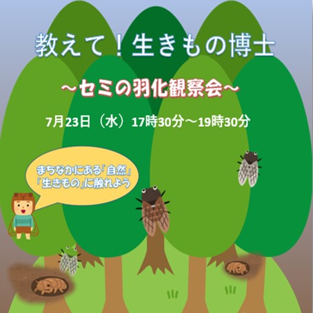 教えて！生きもの博士～セミの羽化観察会
