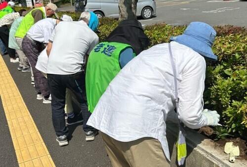 3:（画像）手際よく植えていきます