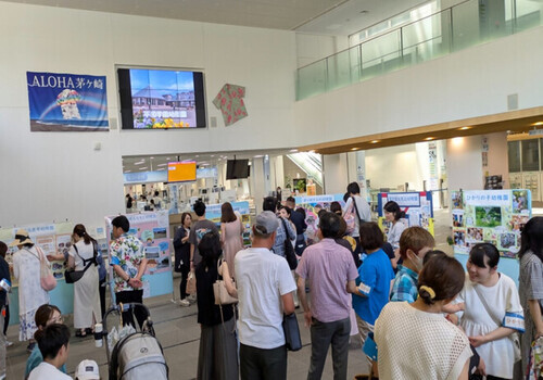 1:（画像）ようちえんフェス2025全体の様子