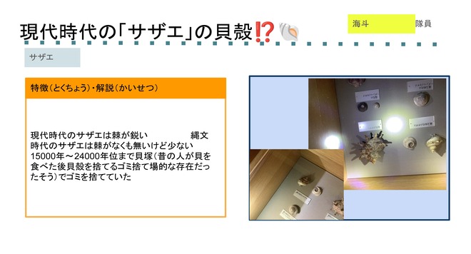 サザエ2