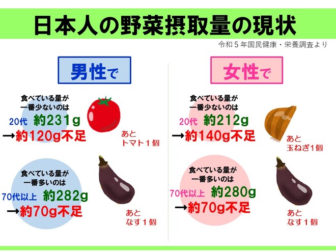 日本人の野菜摂取量の現状