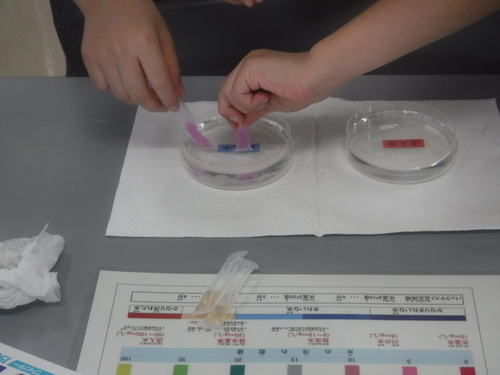4:（画像）水質実験の様子