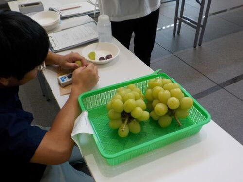 4:審査の様子です