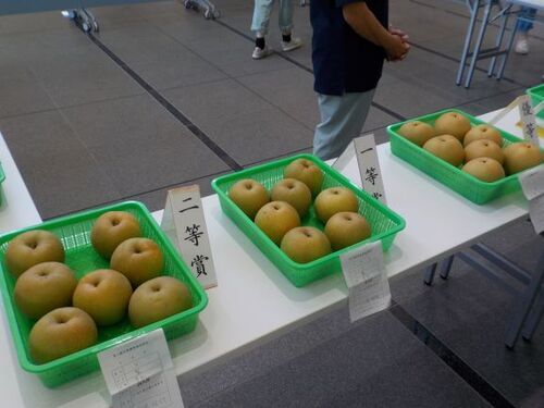 3:農家さん自慢の梨です