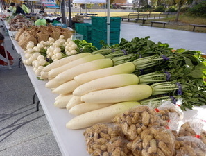 茅ヶ崎産の農産物