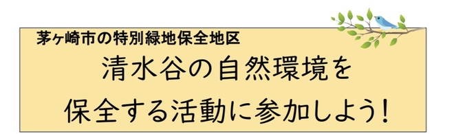 清水谷の自然環境を保全する活動に参加しよう！