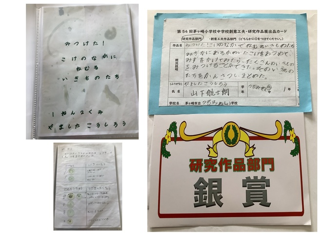 作品