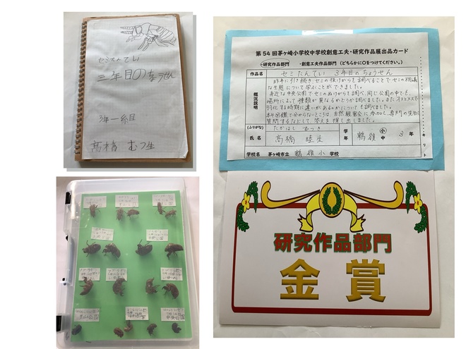 作品