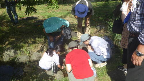 2:（画像）観察の様子