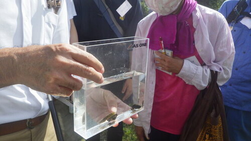 4:（画像）色々な生き物が見つかります