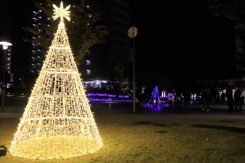 4:クリスマスツリーも点灯中！