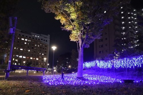 6:（画像）冬の夜空を彩ります！