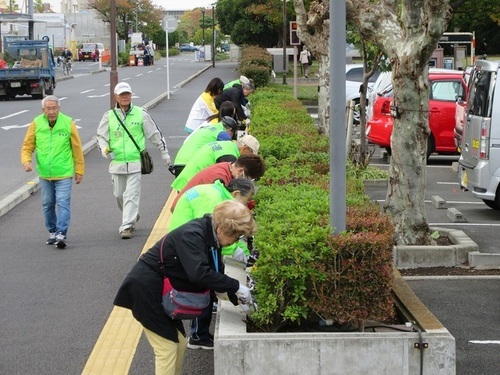 2:（画像）老人クラブ、茅ヶ崎市文化会館、明治安田生命の皆様が協働して作業を行いました